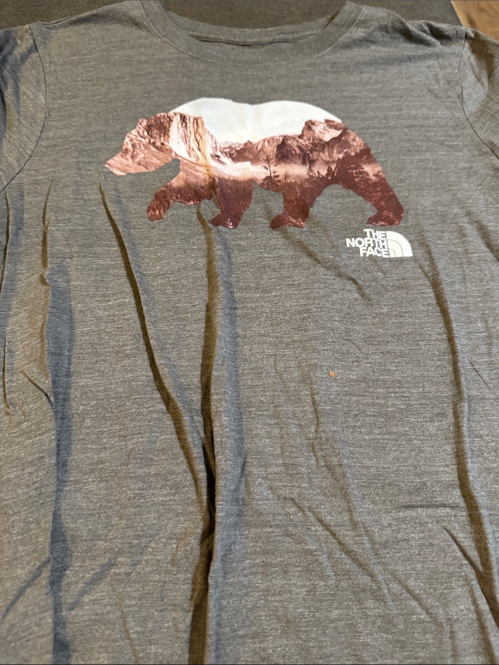 Women’s the north face with bear